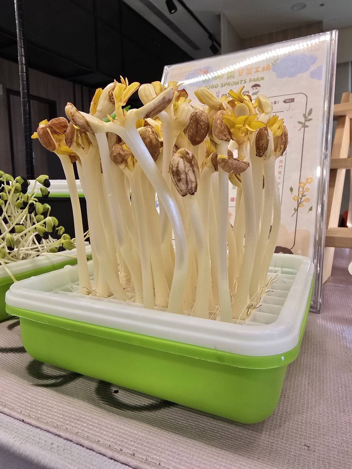 YoGo有夠菜芽菜工坊