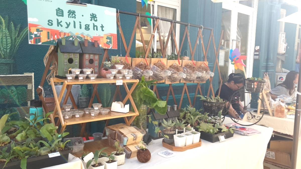 自然‧光skylight