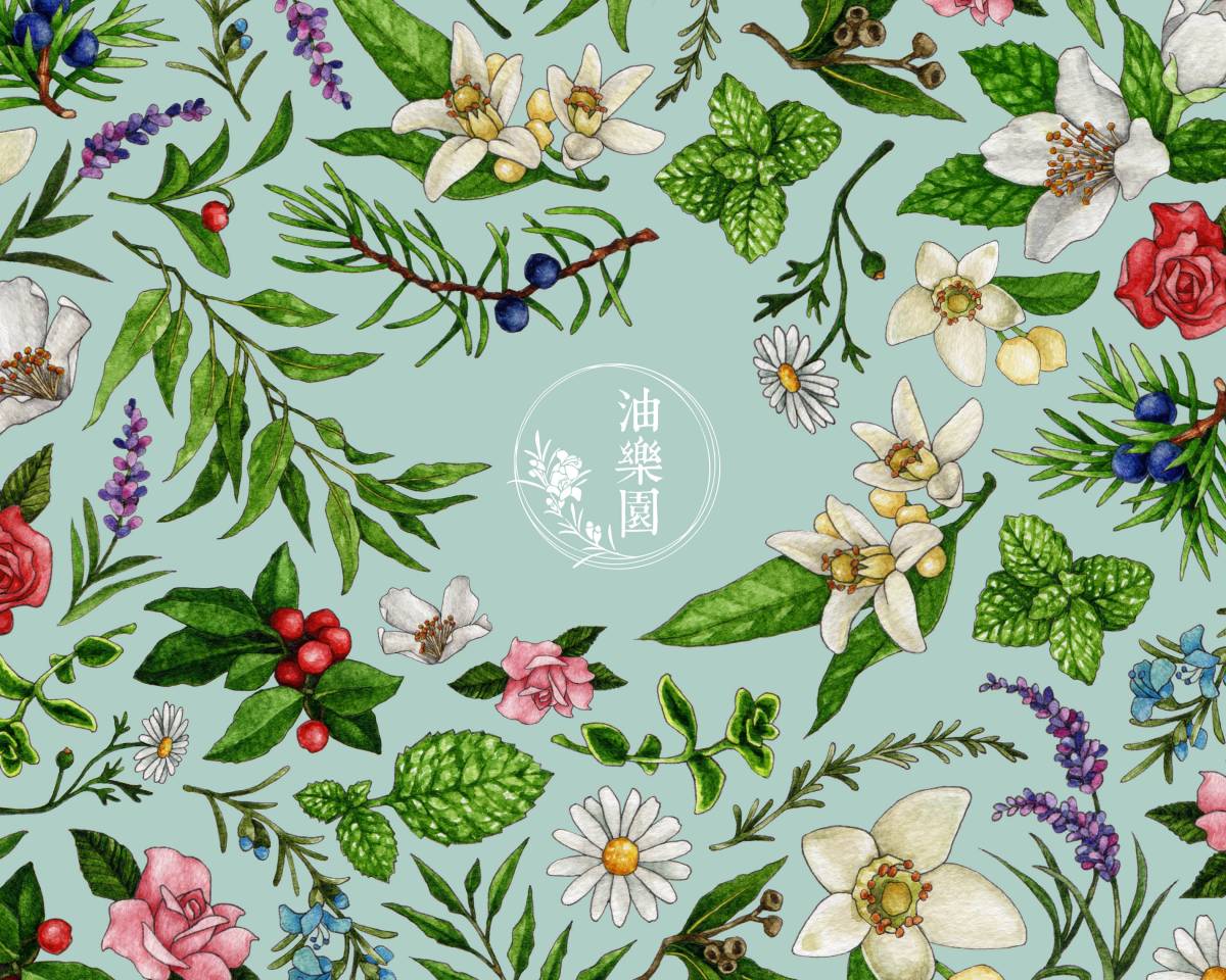 楊光健康管理顧問有限公司(油樂園)