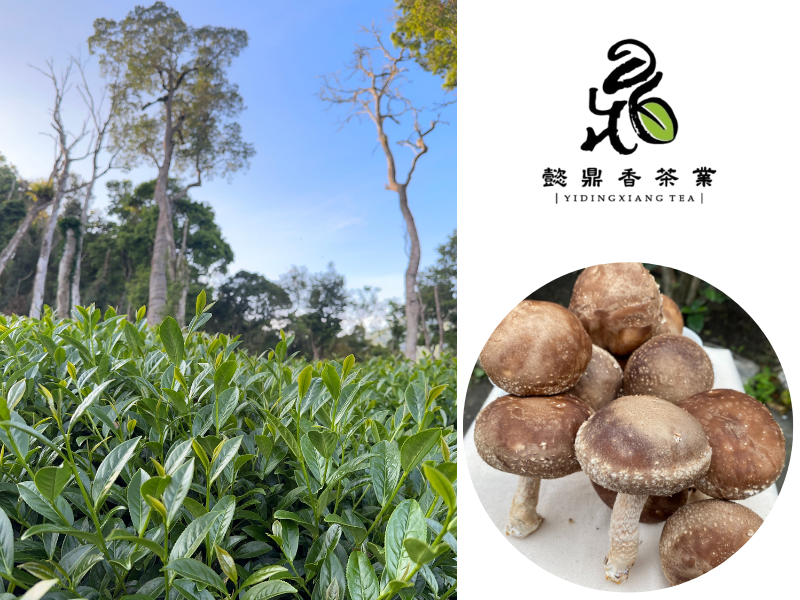 懿鼎香茶業