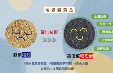 稻殼再也不是垃圾，搖身變黃金